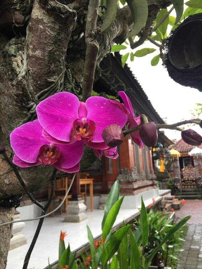 Local Family House 호텔 파양간 외부 사진